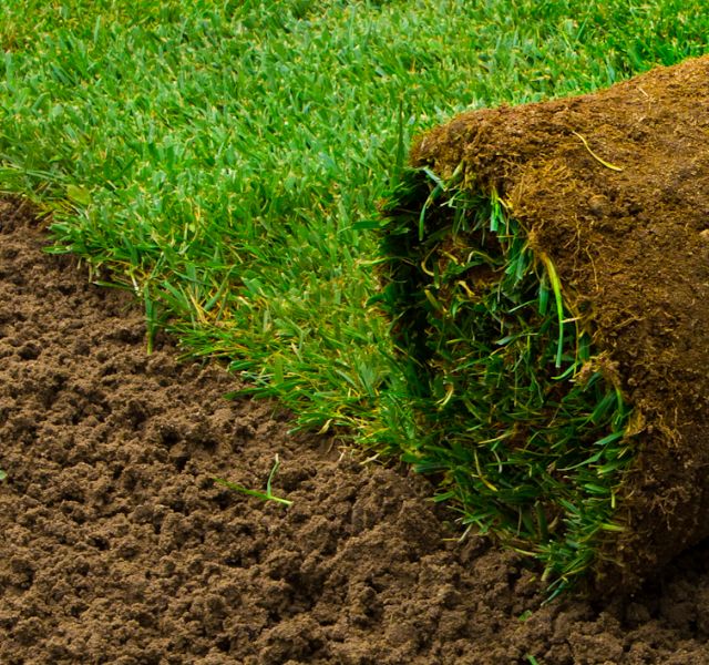 georgia-sod-near-me