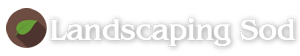 Landscaping Sod