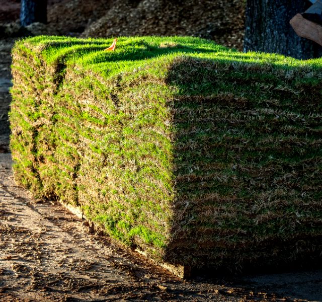 Decatur-Sod-Suppliers