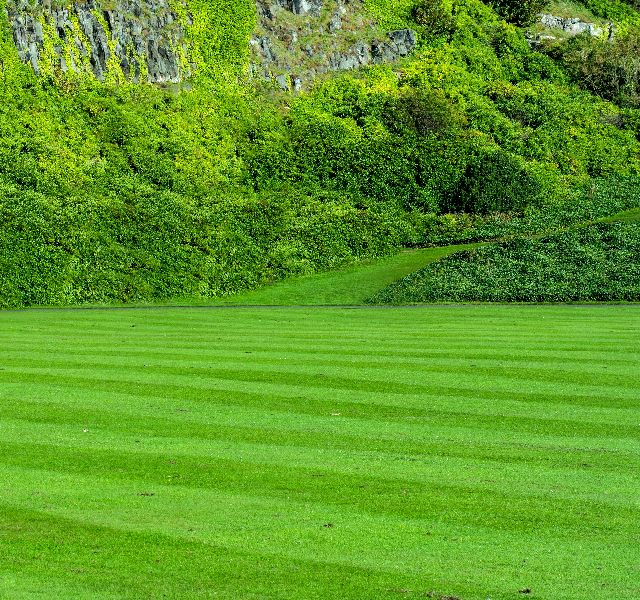 Norcross-Sod-Suppliers