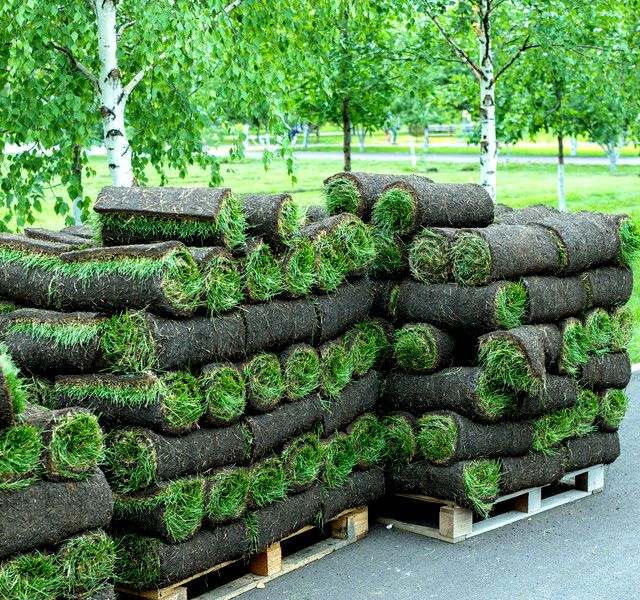 Atlanta-Grass-Suppliers